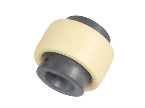 Shaanxi TGL type nylon inner gear ring drum gear coupling